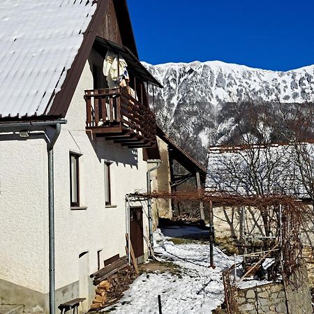 Hikers Hut Hisar Apartman Podbrdo Kültér fotó