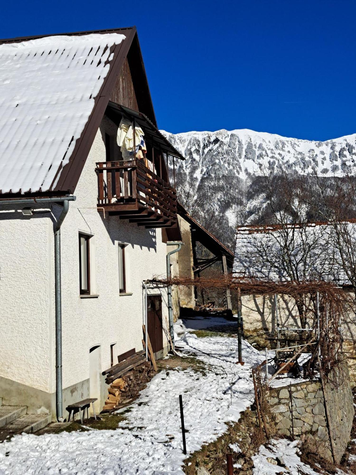 Hikers Hut Hisar Apartman Podbrdo Kültér fotó