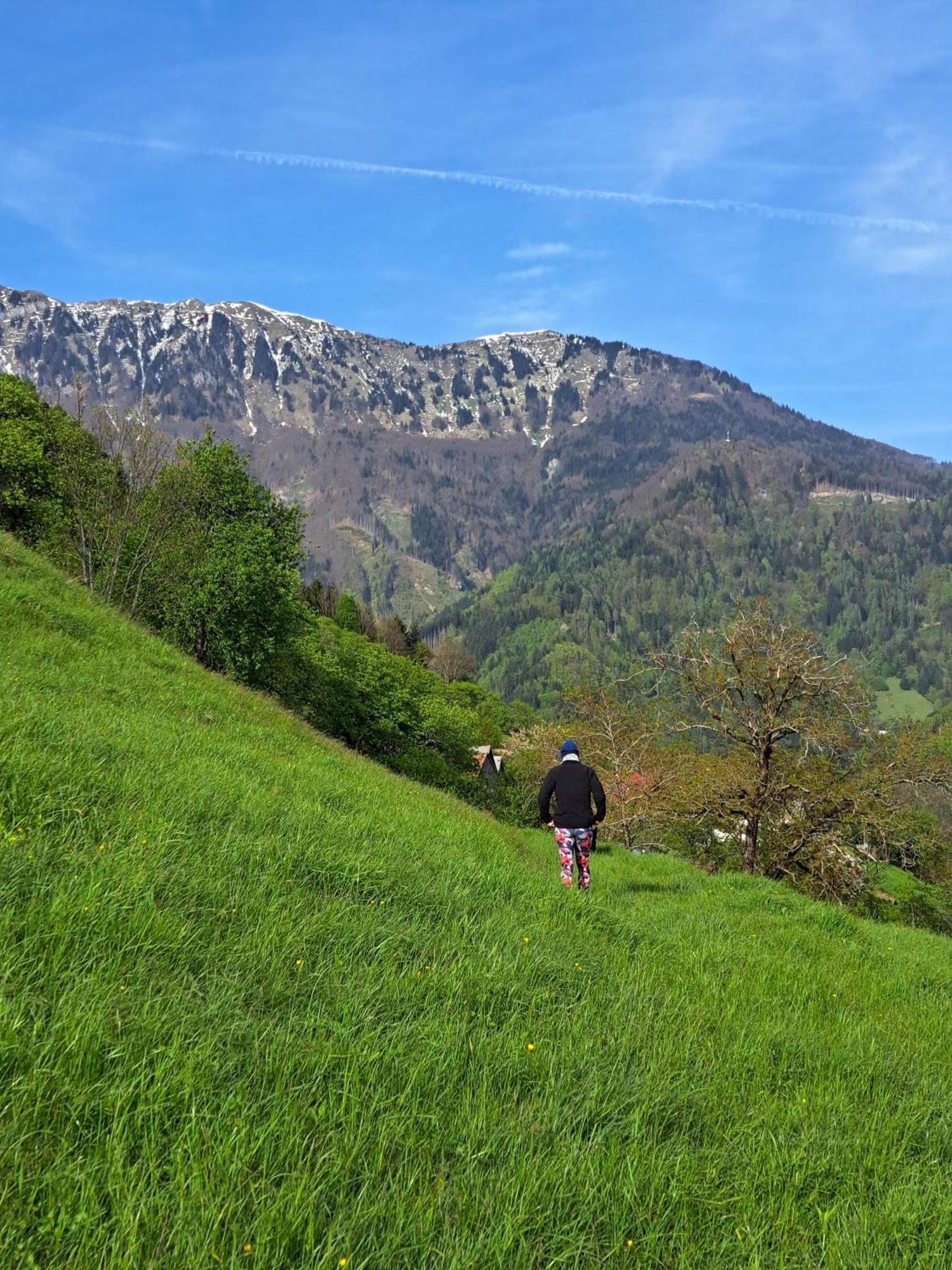 Hikers Hut Hisar Apartman Podbrdo Kültér fotó