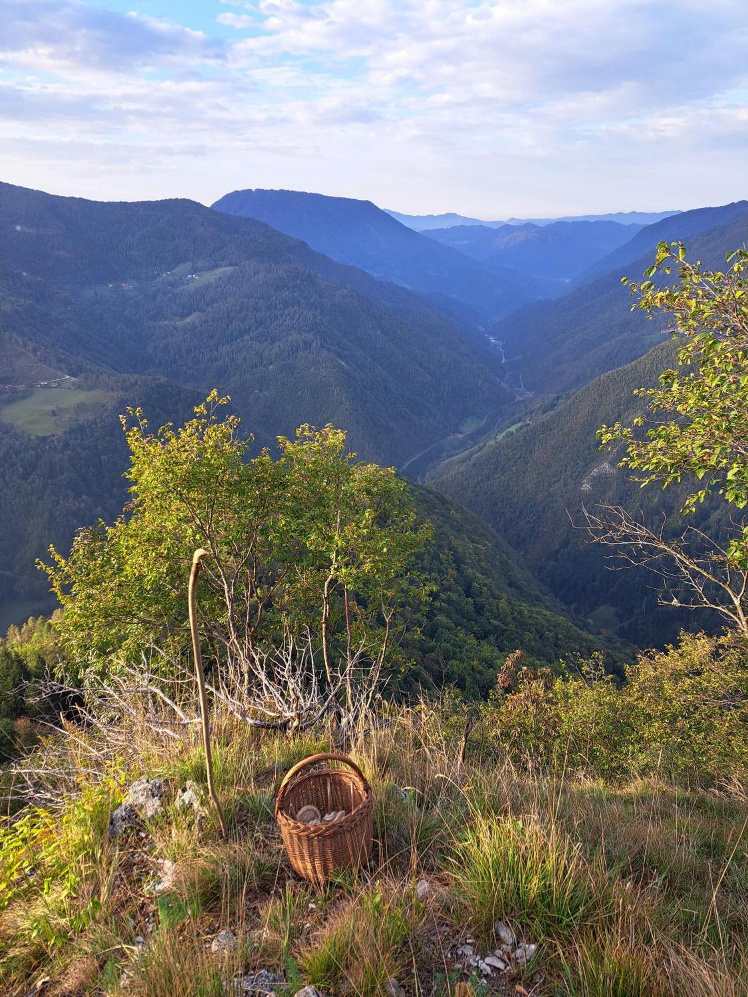 Hikers Hut Hisar Apartman Podbrdo Kültér fotó